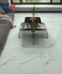 Gạch ốp lát Đồng Tâm 60x60 TRANGAN005-FP 2 gach-dong-tam-6060-trangan005-fp