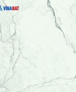 Gạch ốp lát Đồng Tâm 60x60 TRANGAN005-FP 3 gach-dong-tam-6060-trangan005-fp