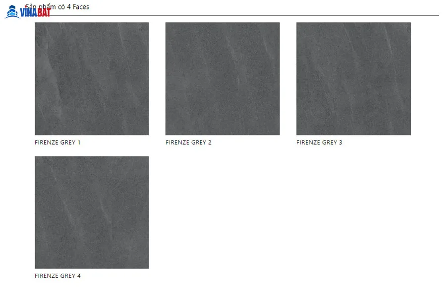 Gạch ốp lát DAVINCI 80x80cm FIRENZE GREY GD80202M 3