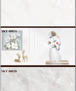 gach-royal-40x80-sky-4803