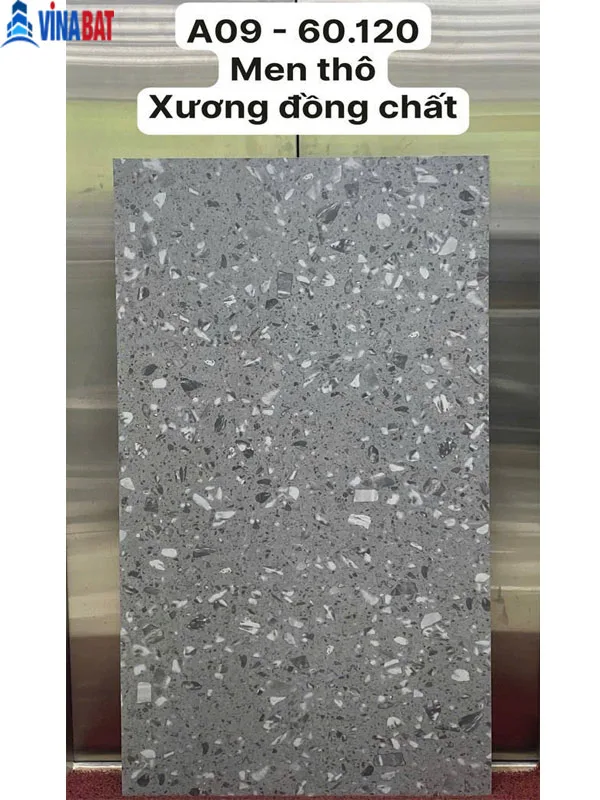 Gach-op-lat-terrazzo-60x120-A09