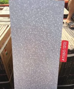 Gach-op-lat-terrazzo-60x120-A11