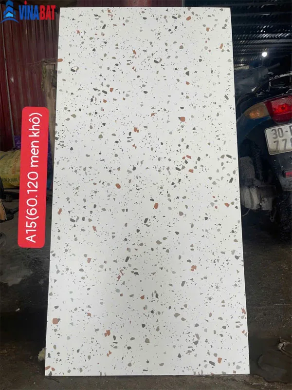 Gach-op-lat-terrazzo-60x120-A15