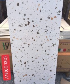 Gach-op-lat-terrazzo-60x120-A19