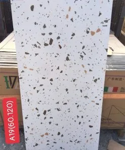 Gach-op-lat-terrazzo-60x120-A19