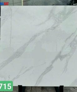 Gạch Ấn Độ 100x100cm men bóng nhiều mẫu 17