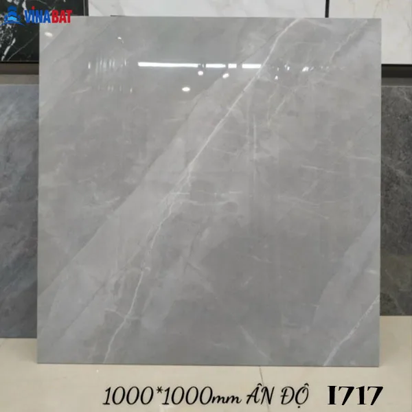 gach-an-do-100x100-i717 Gạch Ấn Độ 100x100cm men bóng nhiều mẫu 7