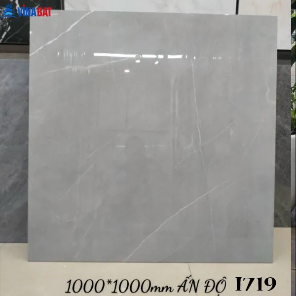 gach-an-do-100x100-i719 Gạch Ấn Độ 100x100cm men bóng nhiều mẫu 5