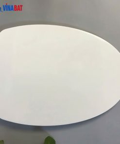 Nắp bồn cầu đóng êm Olu V01 5