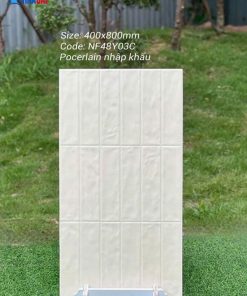 gach-op-lat-nhap-khau-trung-quoc-40x80-NF48Y03C