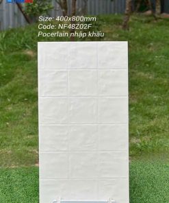 gach-op-lat-nhap-khau-trung-quoc-40x80-NF48Z02F