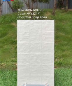 Bộ sưu tập 21 mẫu gạch trang trí nhập khẩu 40x80 giả thẻ cổ điển 3