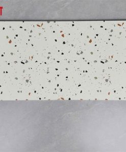 gach-op-lat-terrazzo-30x60-g36202