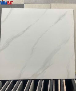 gach-op-lat-viglacera-60x60-VHP6601