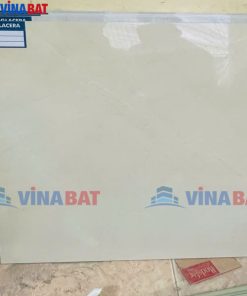 gach-op-lat-viglacera-60x60-CLGP608-1