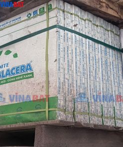 gach-op-lat-viglacera-60x60-CLGP608-2