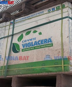 gach-op-lat-viglacera-60x60-CLGP608-3