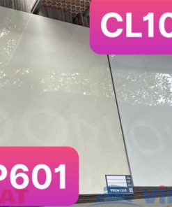 gach-op-lat-viglacera-60x60-CL10GP6601-1