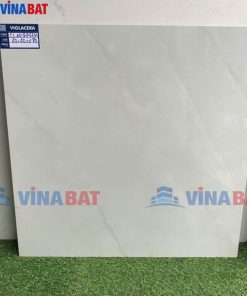 gach-op-lat-viglacera-60x60-CL10GP6601