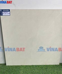 gach-op-lat-viglacera-60x60-CLGP601
