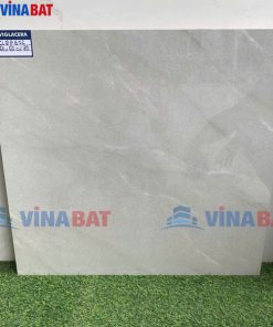 gach-op-lat-viglacera-60x60-CLGP602